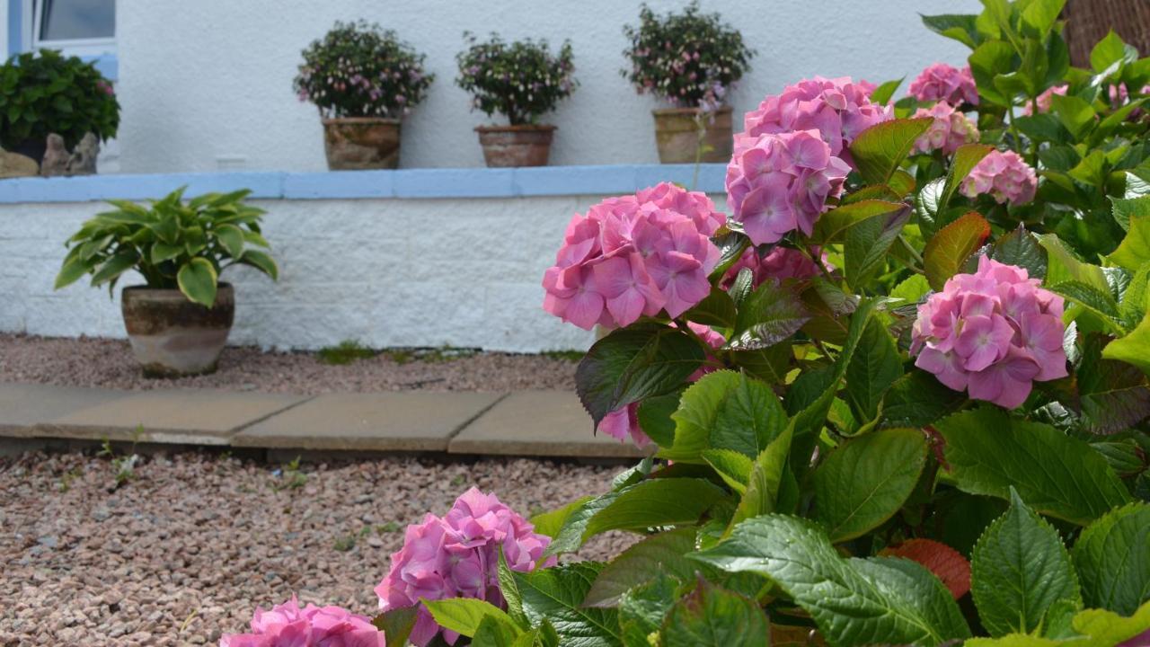 Bed and Breakfast Springbank Mallaig Zewnętrze zdjęcie